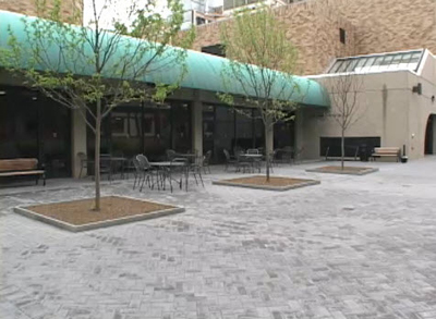 photo of a landscaped courtyard