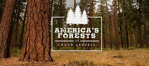 americas forests