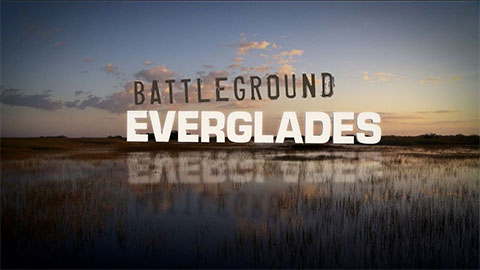 battle everglades