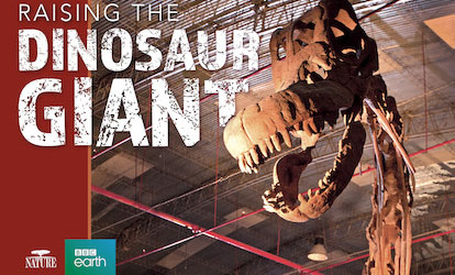 dinosaur