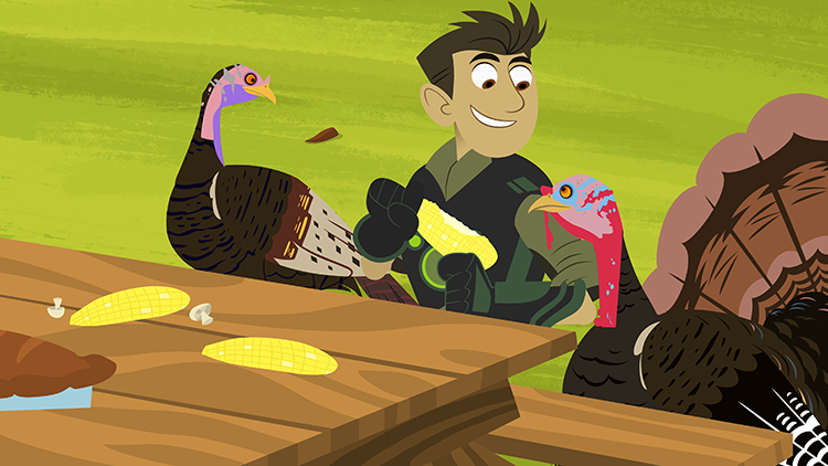 wild kratts