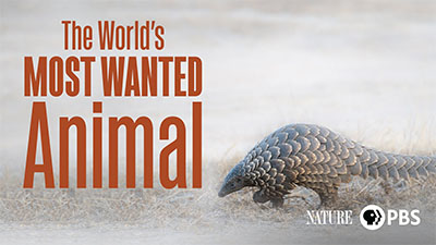 most wanted animal