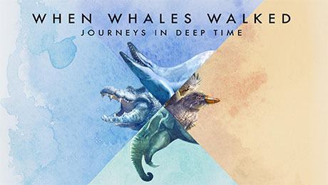 when whales walked