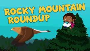 Rocky Mountain Roundup