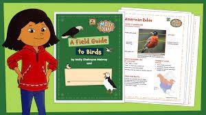 Field Guide Family Activity