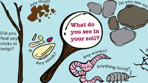 dig soil
