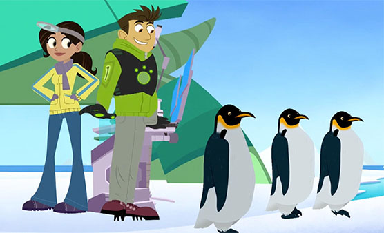 kratts penguins