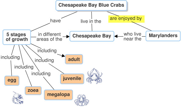 Concept Map Diagram. See text alternative outline after slideshow