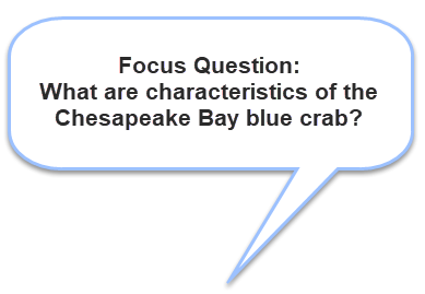 Voice bubble: Focus question: What are characteristics of the Chesapeake Bay blue crab
