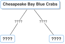 Concept Map diagram labeled Chesapeake Bay Blue crabs