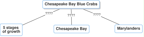 Concept Map diagram labeled Chesapeake Bay Blue crabs with three connecting nodes labeled 5 stages of growth, Chesapeake Bay, Marylanders