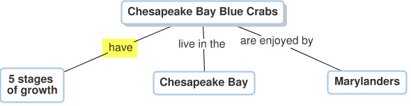 Concept Map Diagram with nodes that connect to say Chesapeake Bay blue crabs are enjoyed by Marylanders, live in the Chesapeake Bay and have five stages of growth