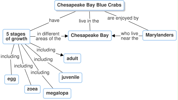 Concept Map Diagram. See text alternative outline after slideshow