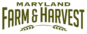 MAEF logo